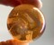 HUGE 50mm PINKY JELLYFISH Pink Fairy Clear Soap Bubble Large Toe Breaker Marble